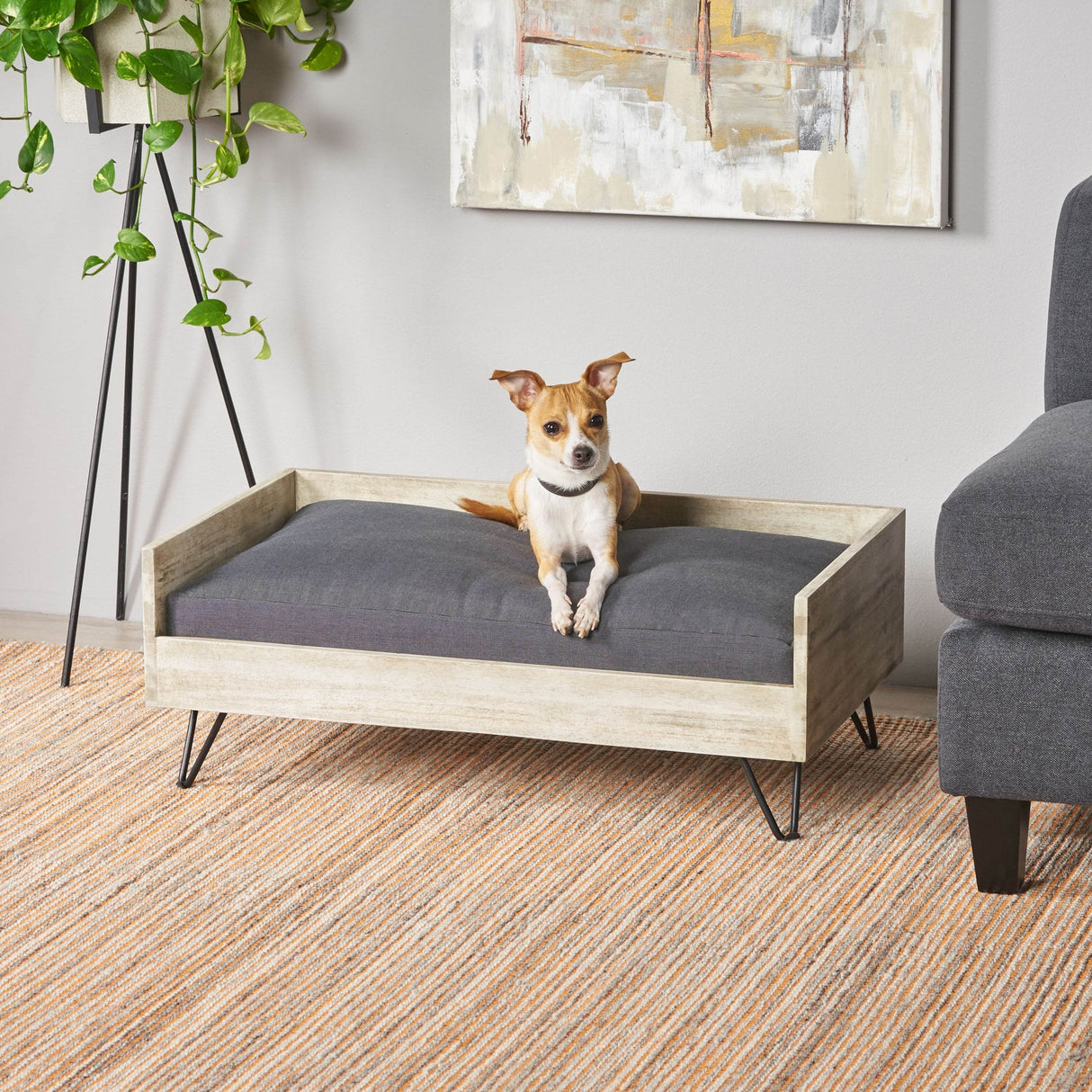 Mid-Century Modern Acacia Wood Dog Bed With Cushion - Sleep Galleria