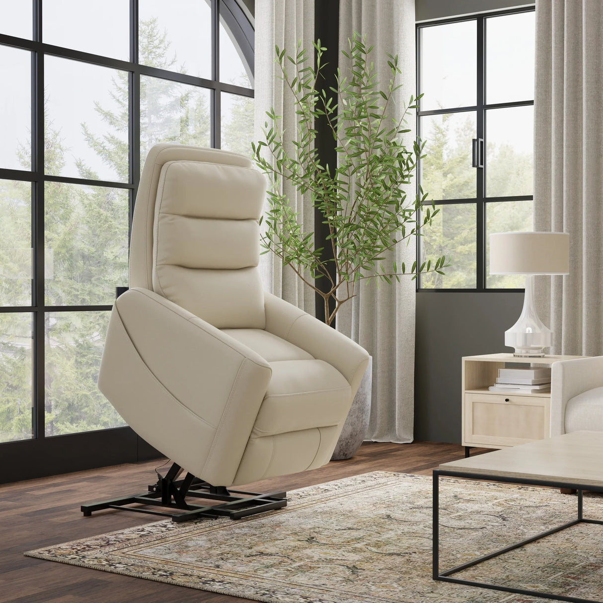 Faux Leather Power Lift Recliner Chair With USB Charging - Omega Lifestyles
