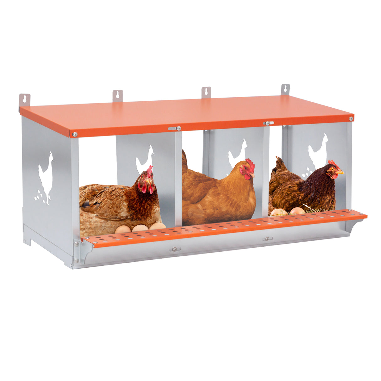 Heavy-Duty Galvanized Steel 3-Bay Metal Nest Box