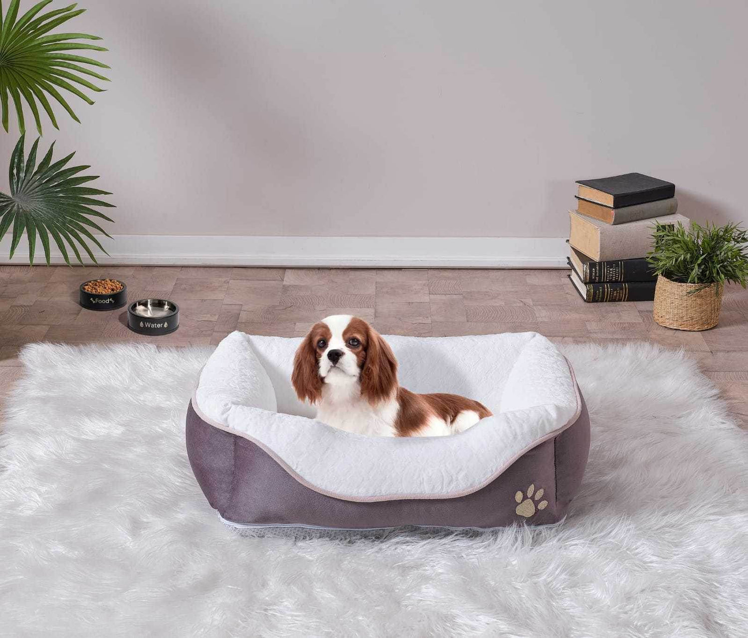 Contemporary Foam Cozy Pet Bed For Medium Cats - Sleep Galleria