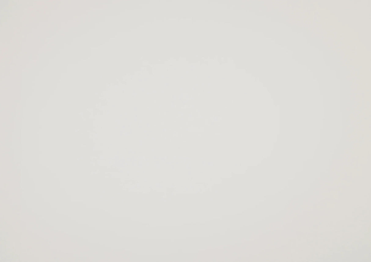 Queen Farmhouse White Wood Panel Bed Frame - Omega Lifestyles