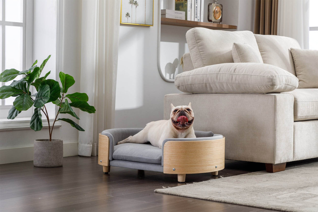 Scandinavian Elevated Large Dog Bed With Velvet Cushion - Sleep Galleria