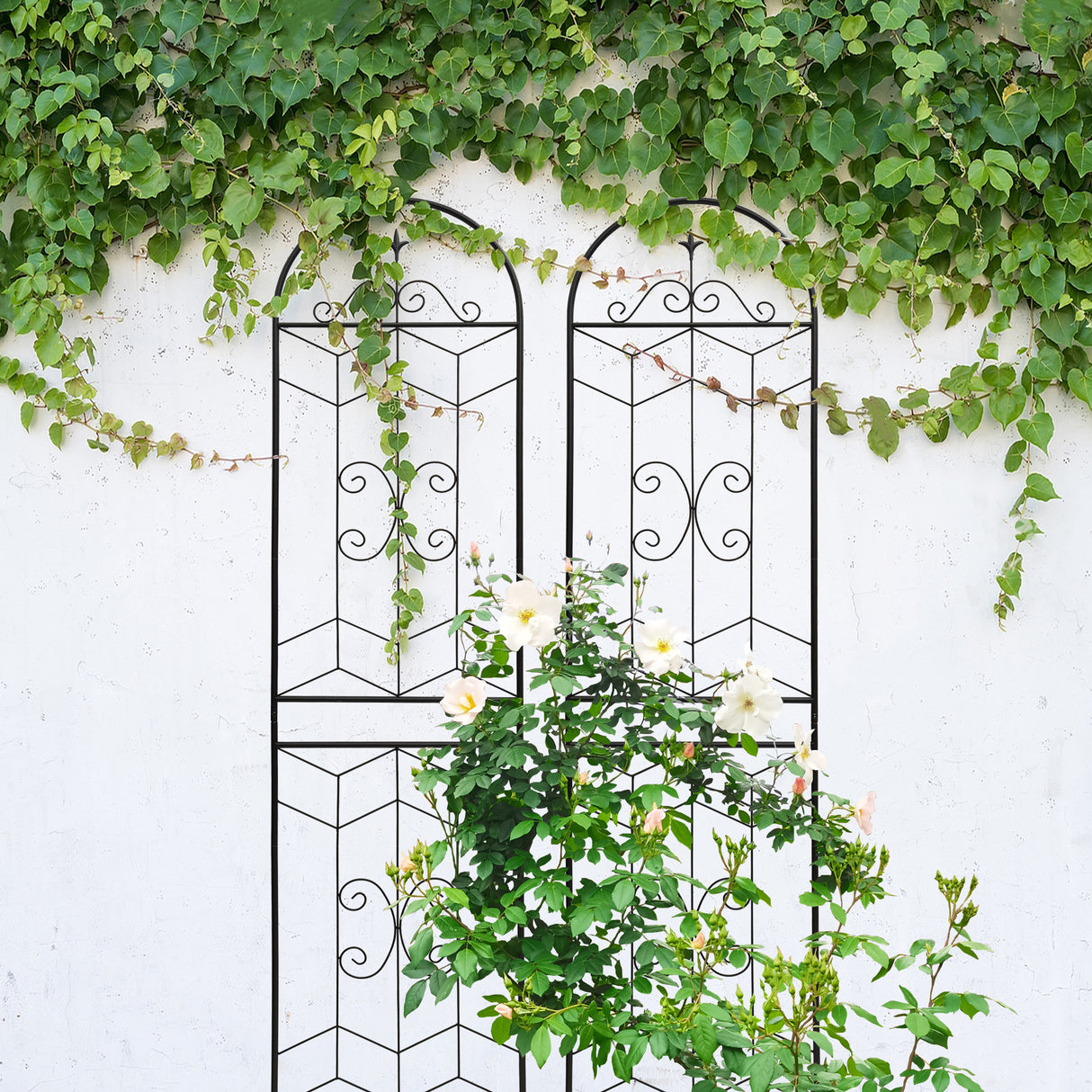 Pair Of Rustproof Metal Garden Trellises With Powder Coating