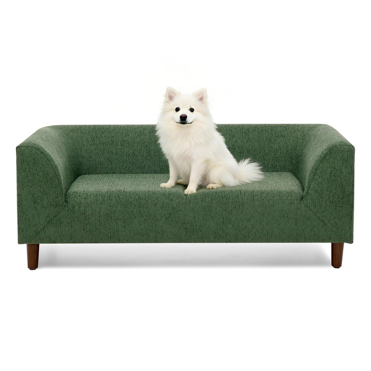 Modern Olive Green Foam Pet Sofa With Armrests And Backrest - Omega Lifestyles