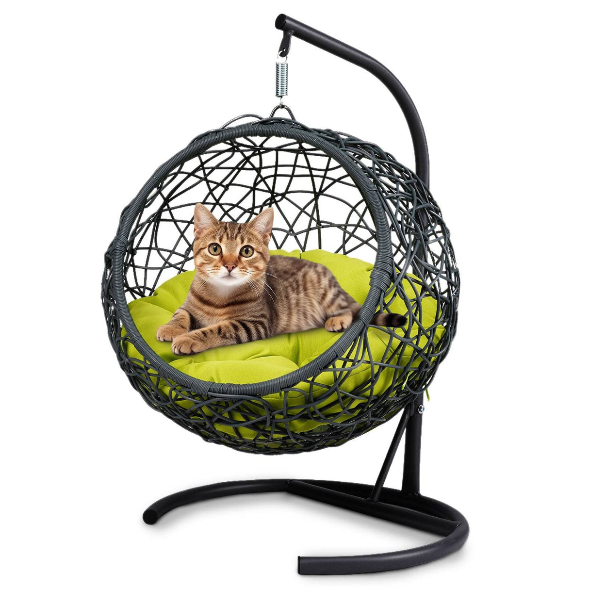 Indoor Green Cat Swing Bed With Stand And Cushion - Sleep Galleria