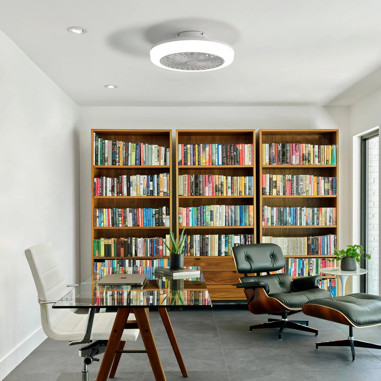 18-Inch Bladeless Enclosed Ceiling Fan With Light Remote - Omega Lifestyles