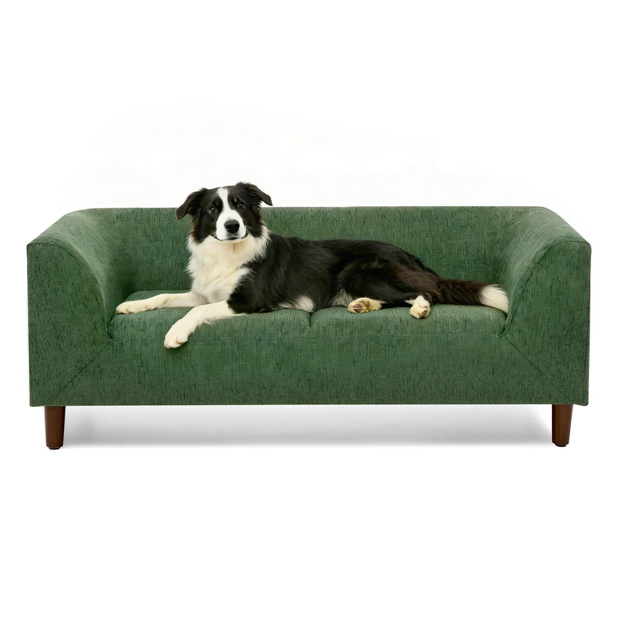 Modern Olive Green Foam Pet Sofa With Armrests And Backrest - Omega Lifestyles