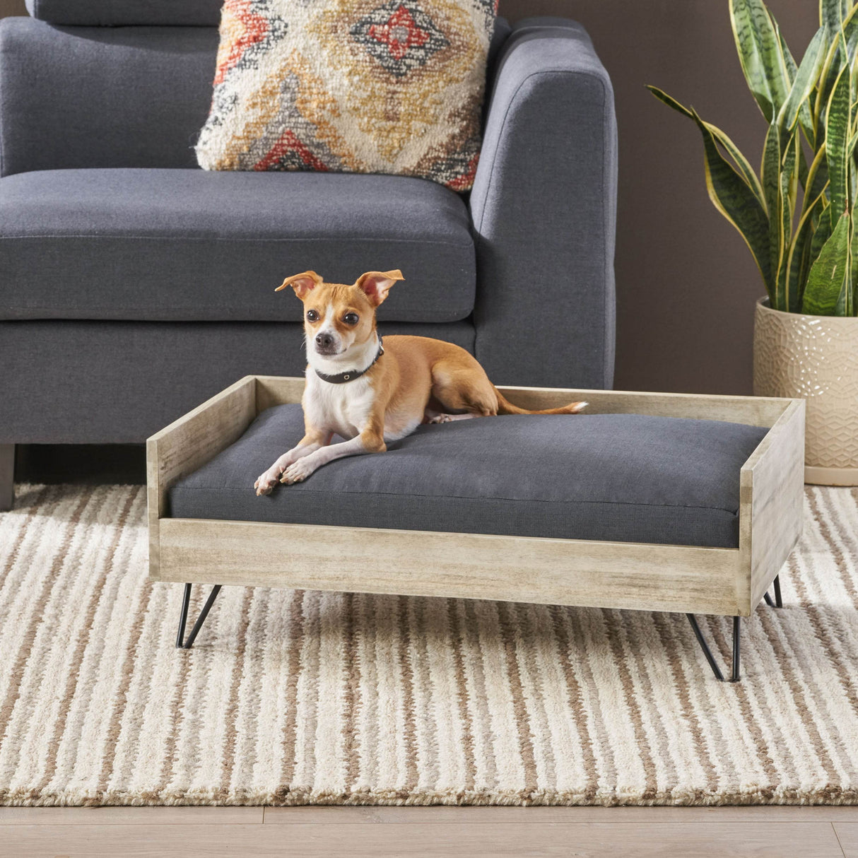 Mid-Century Modern Acacia Wood Dog Bed With Cushion - Sleep Galleria
