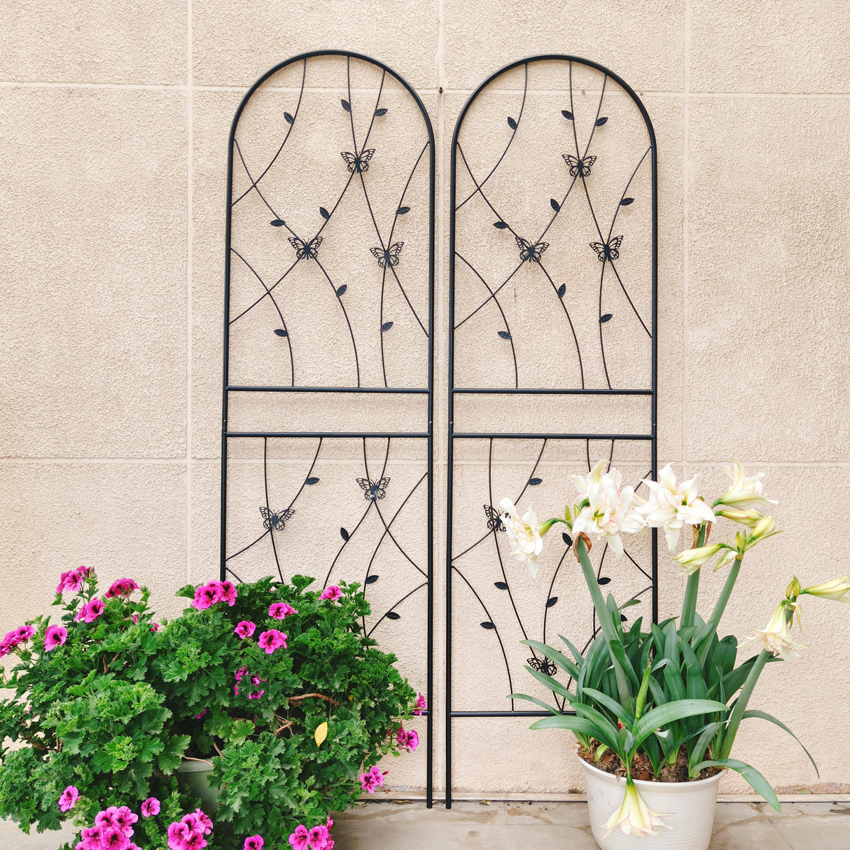 2-Pack Rustproof Metal Garden Trellis For Climbing Plants