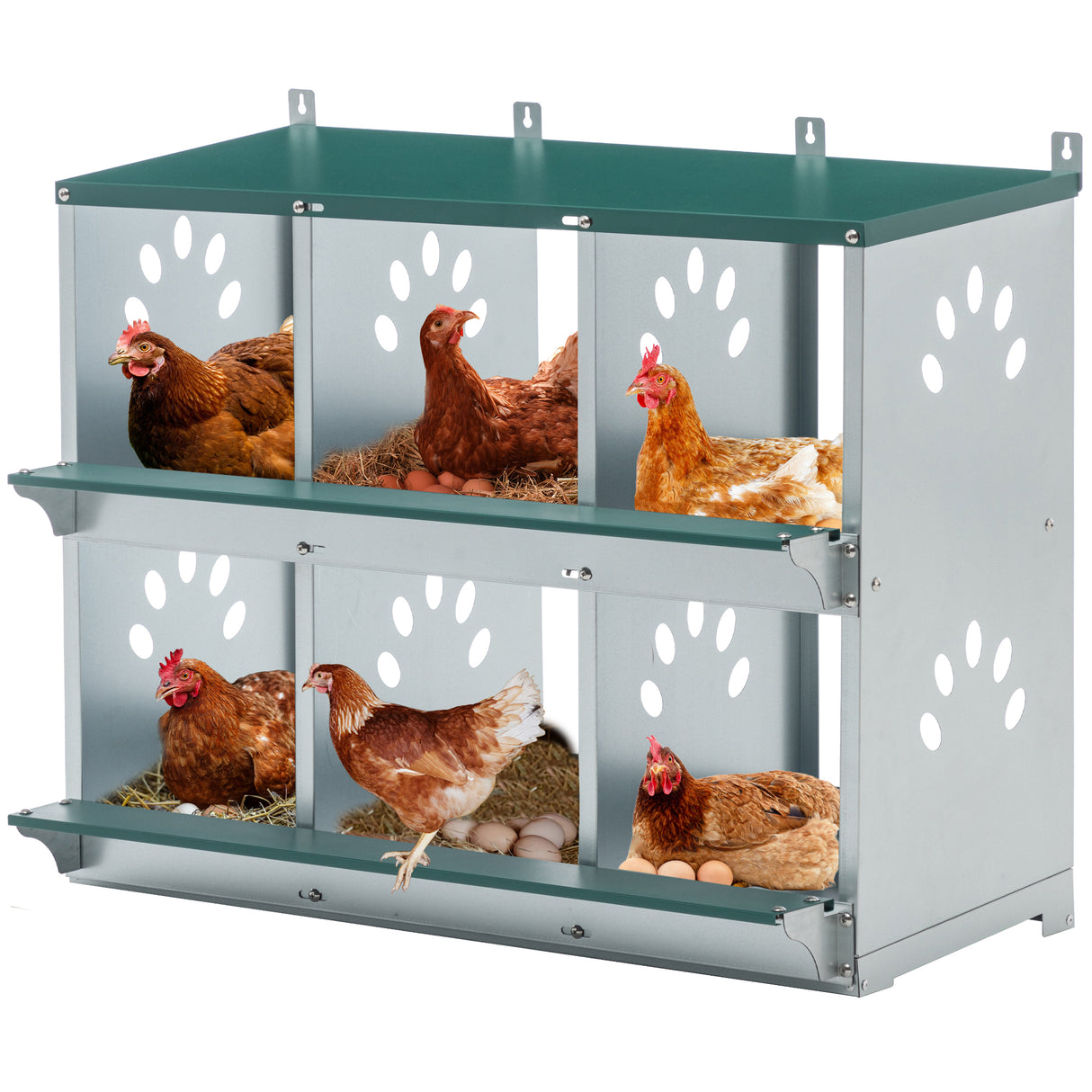 6-Room Galvanized Steel Metal Chicken Nesting Box