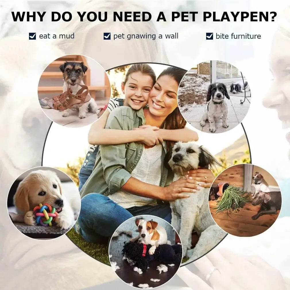 42-Inch Folding Heavy Duty Metal Wire Dog Crate - Sleep Galleria