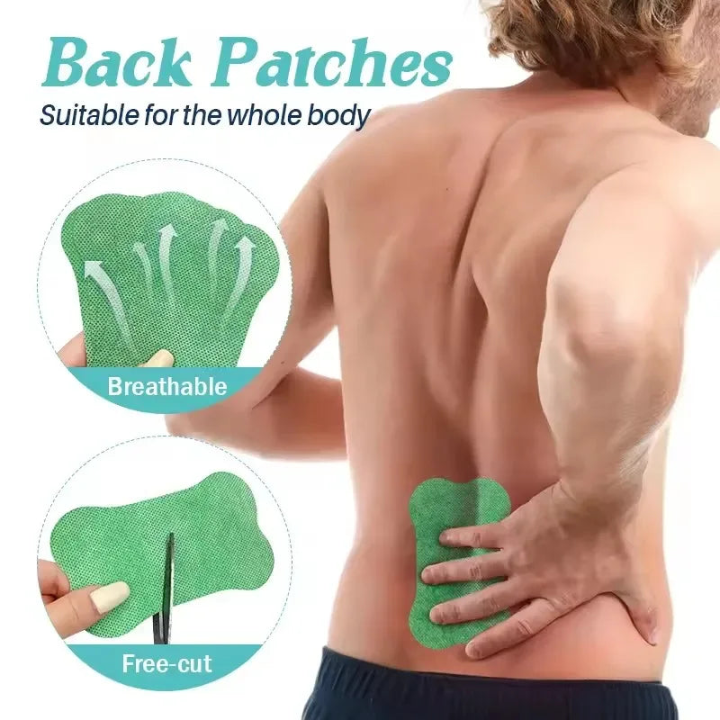 Set Of 12 Wormwood Self-Heating Lumbar Back Patches - Omega Lifestyles