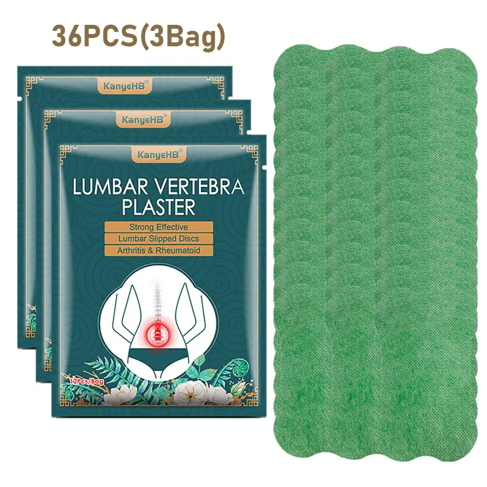 Set Of 12 Wormwood Self-Heating Lumbar Back Patches - Omega Lifestyles