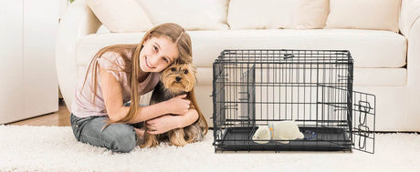 Foldable Double Door Metal Wire Dog Crate With Leak-Proof Tray - Sleep Galleria