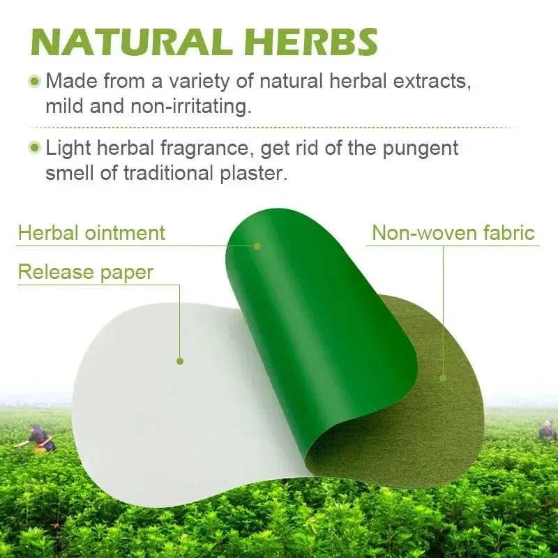 Pack Of 12 Herbal Detox Foot Care Relaxation Patches - Omega Lifestyles