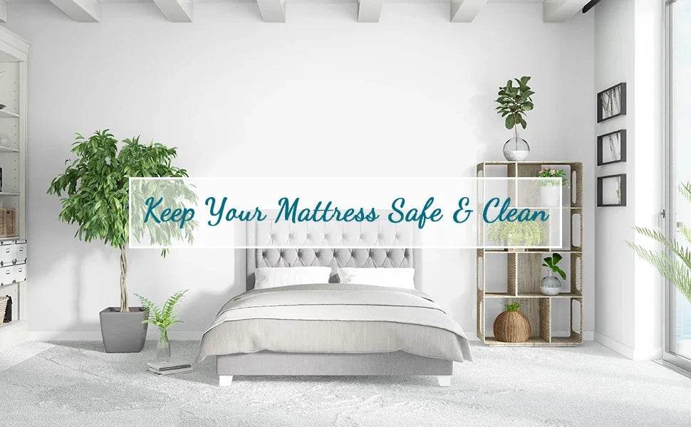 Signature Bamboo Waterproof Premium Protector - Sleep Galleria