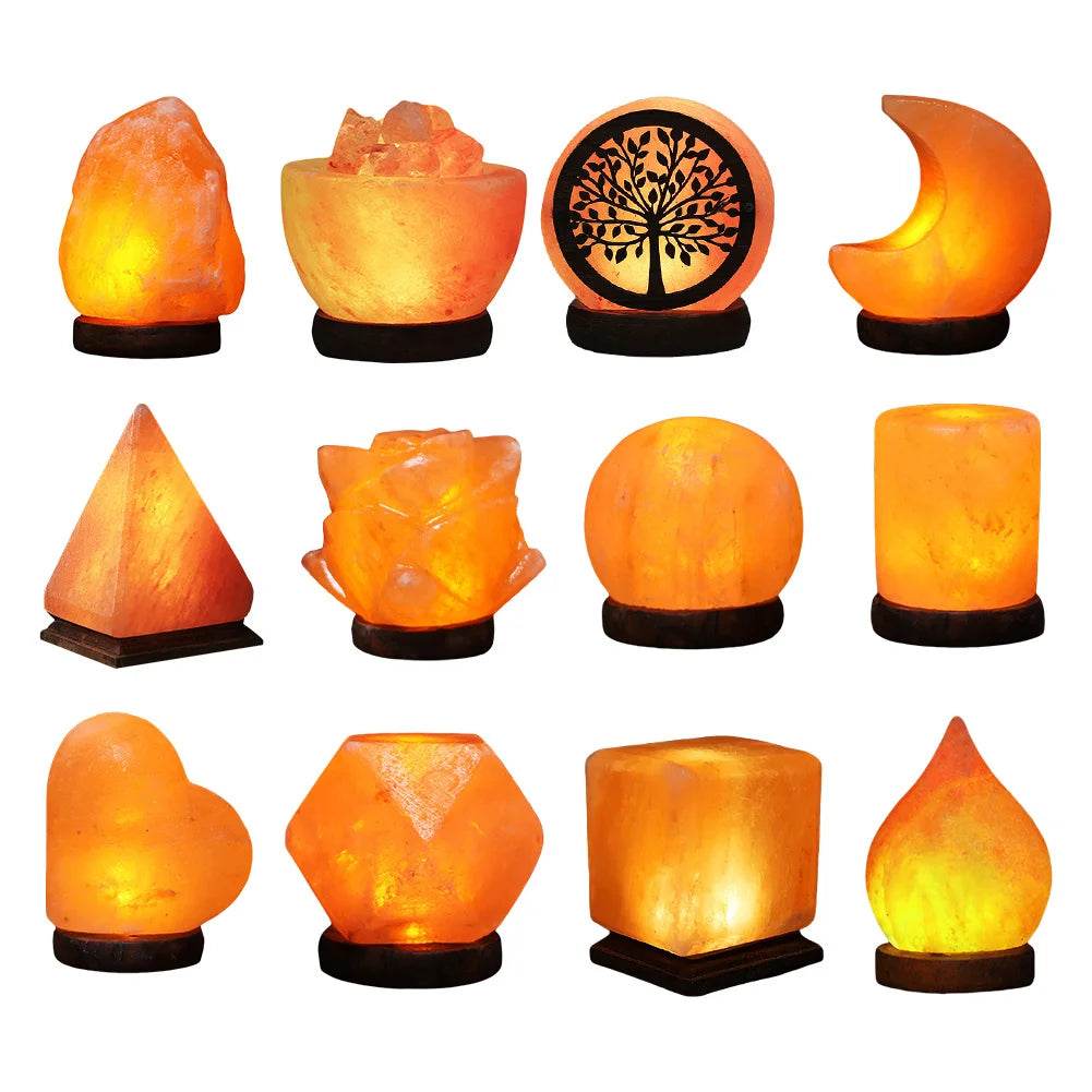 Himalayan Salt Lamp LED Bedside Night Light