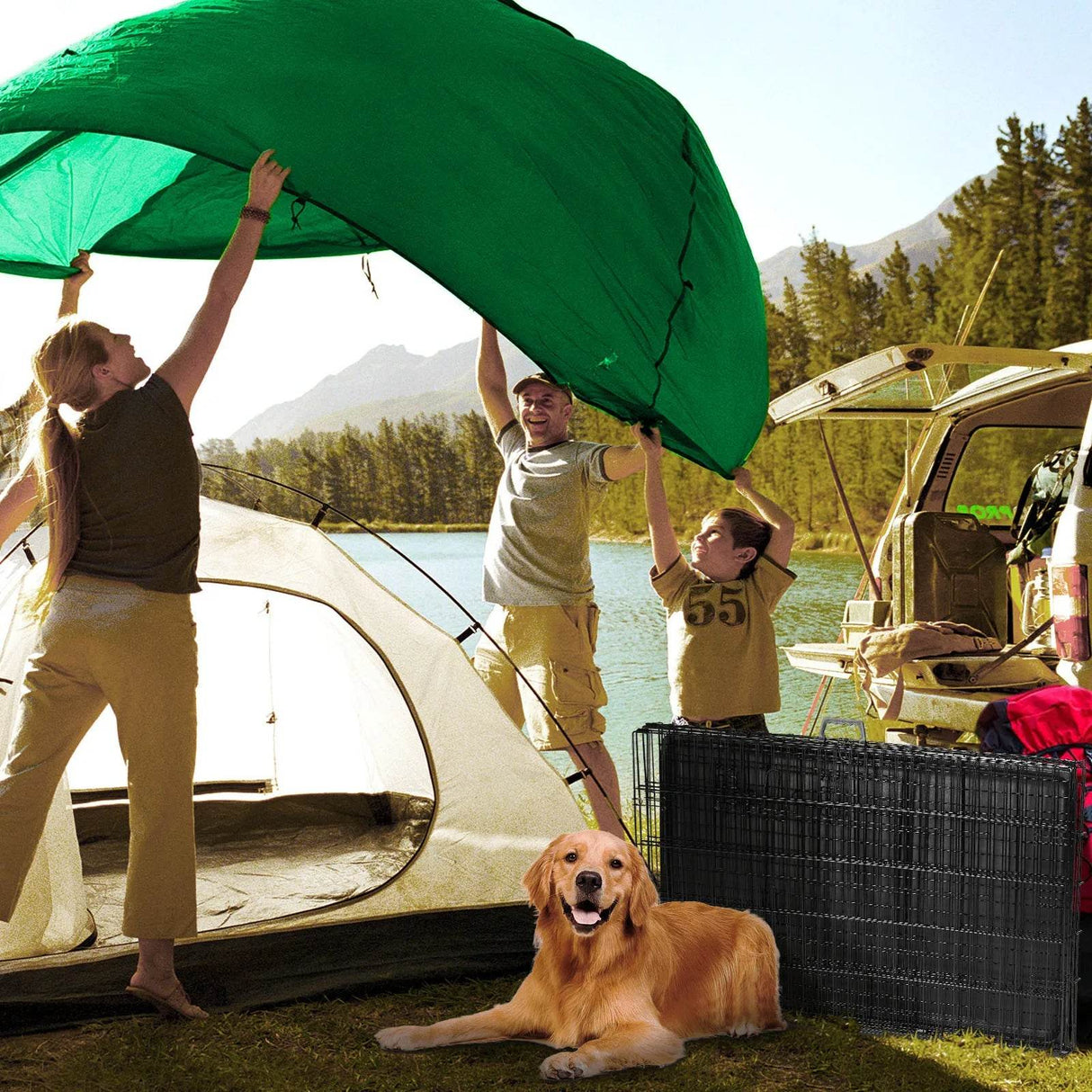 Foldable Double Door Metal Wire Dog Crate With Leak-Proof Tray - Sleep Galleria