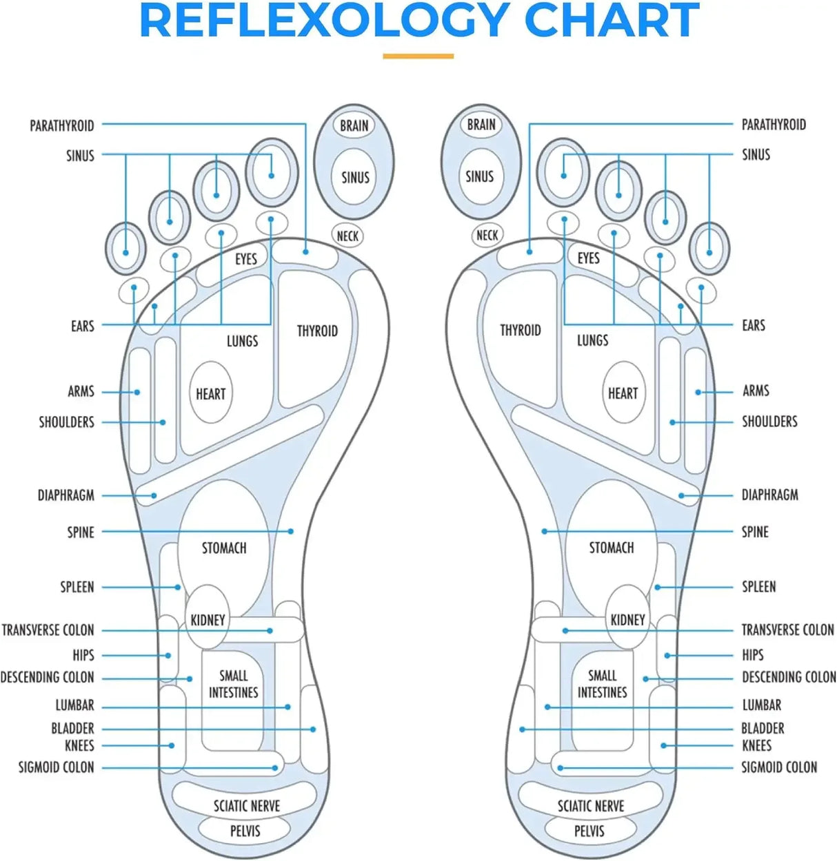 Magnetic Therapy Foot Massage And Relaxation Mat - Omega Lifestyles