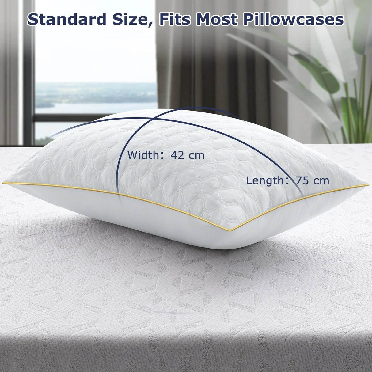 Set of 2 Soft Hypoallergenic Neck Pillows - Sleep Galleria