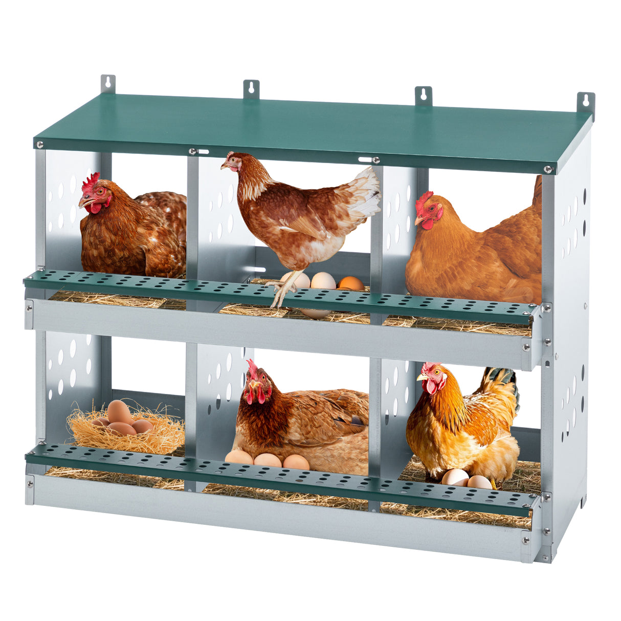 Galvanized Steel 6-Compartment Roll Away Nesting Box