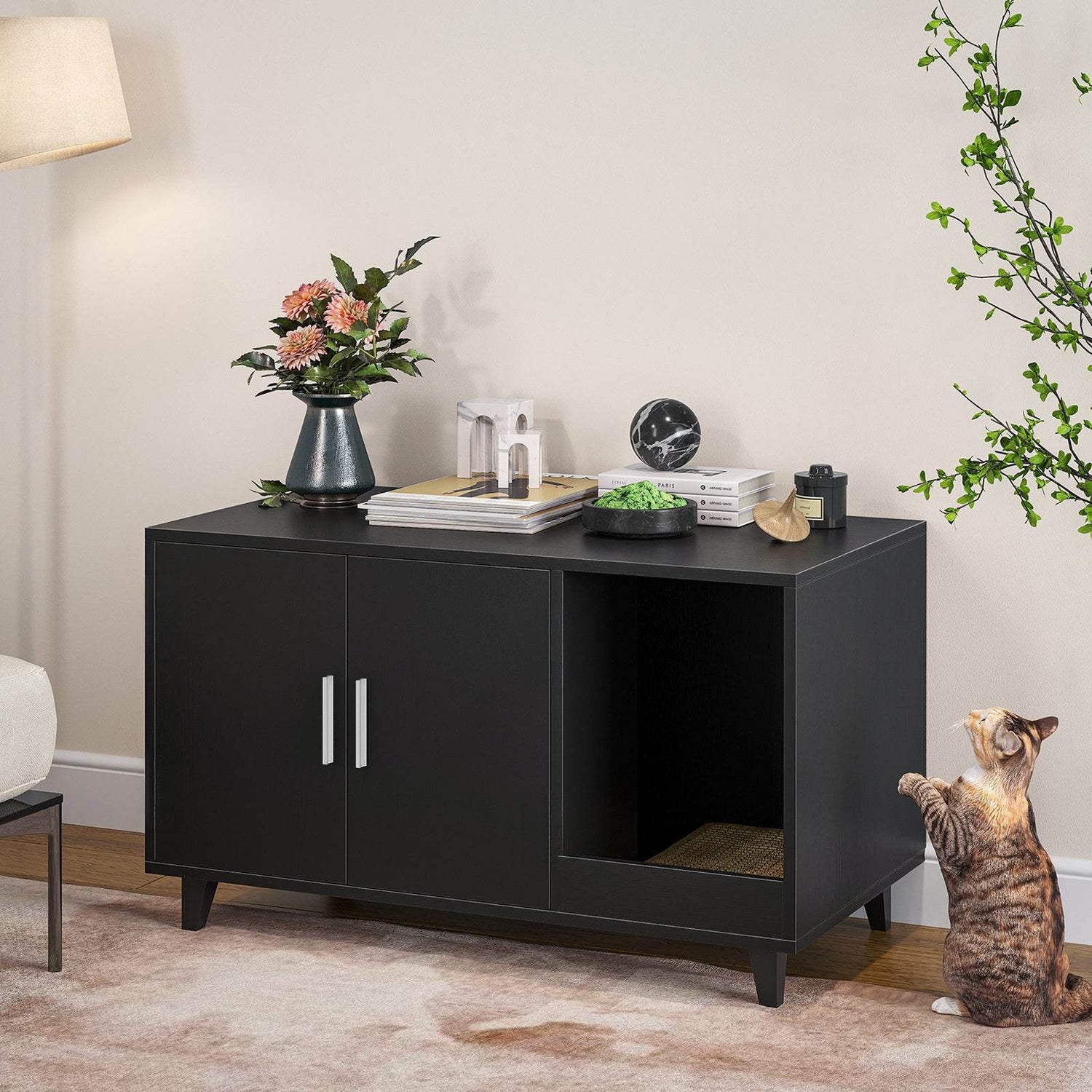 Hidden Cat Litter Box Enclosure With Scratch Pad - Sleep Galleria