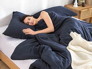 2-Piece Plush Microfiber Comforter Set With Pillow Shams - Sleep Galleria