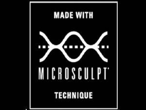 2-Piece Plush Microfiber Comforter Set With Pillow Shams - Sleep Galleria