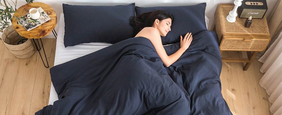 2-Piece Plush Microfiber Comforter Set With Pillow Shams - Sleep Galleria