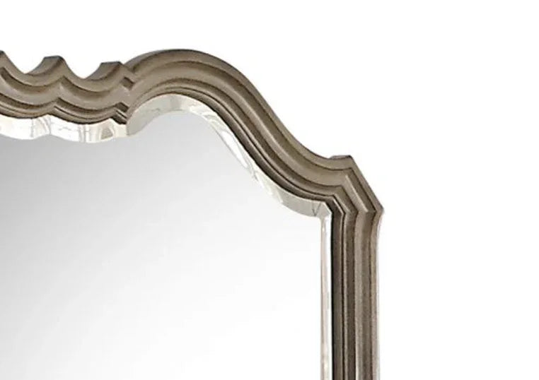 Antique Taupe Beveled Edge Decorative Wall Mirror - Omega Lifestyles
