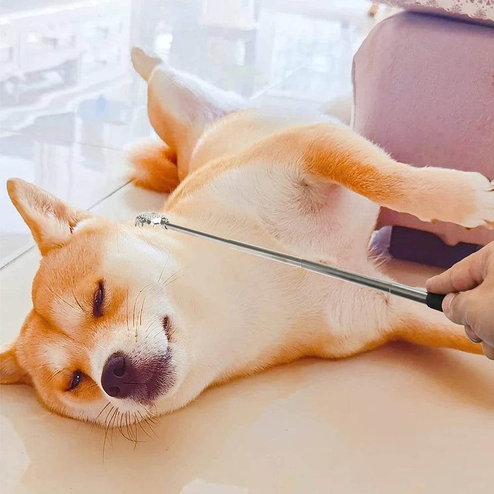 3-Piece Stainless Steel Telescopic Back Scratcher Set - Sleep Galleria