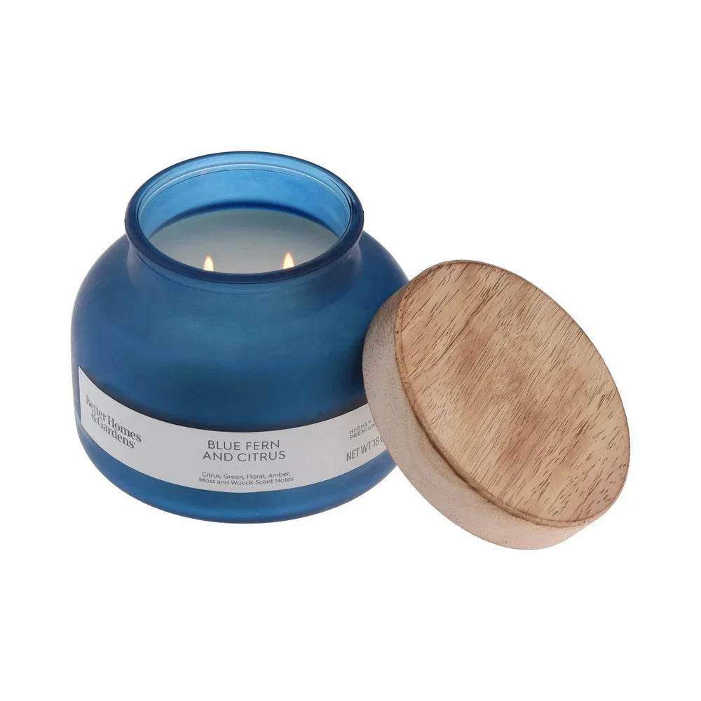Blue Fern Citrus Scented 2-Wick 18oz Jar Candle - Sleep Galleria