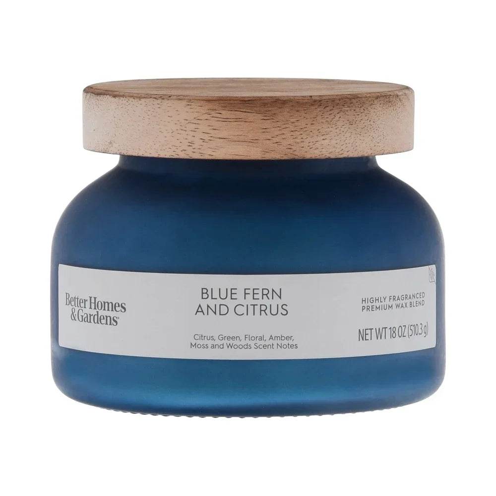 Blue Fern Citrus Scented 2-Wick 18oz Jar Candle - Sleep Galleria