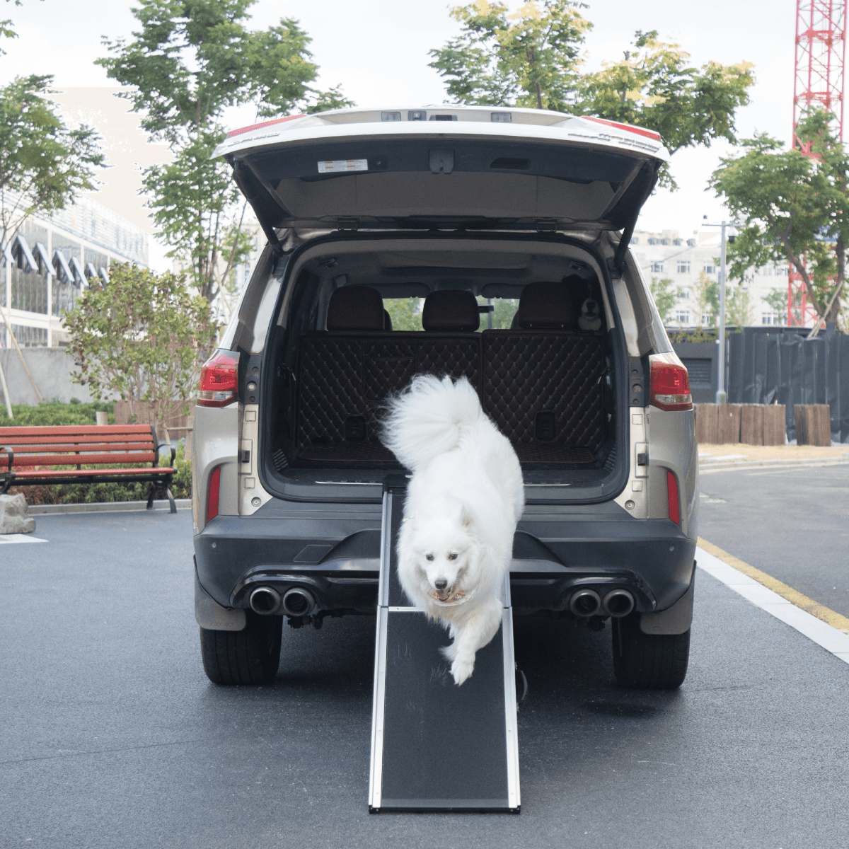 Foldable Aluminum Dog Ramp With Non-Slip Mat - Sleep Galleria
