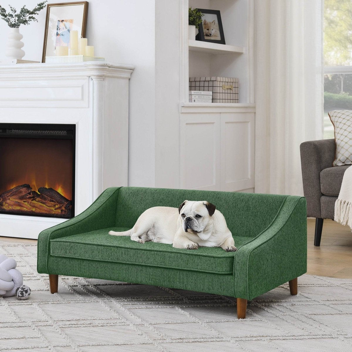 Modern Durable Elevated Foam Dog Sofa Bed - Omega Lifestyles