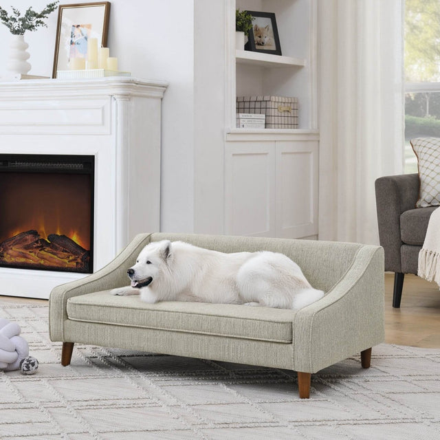 Modern Durable Elevated Foam Dog Sofa Bed - Omega Lifestyles