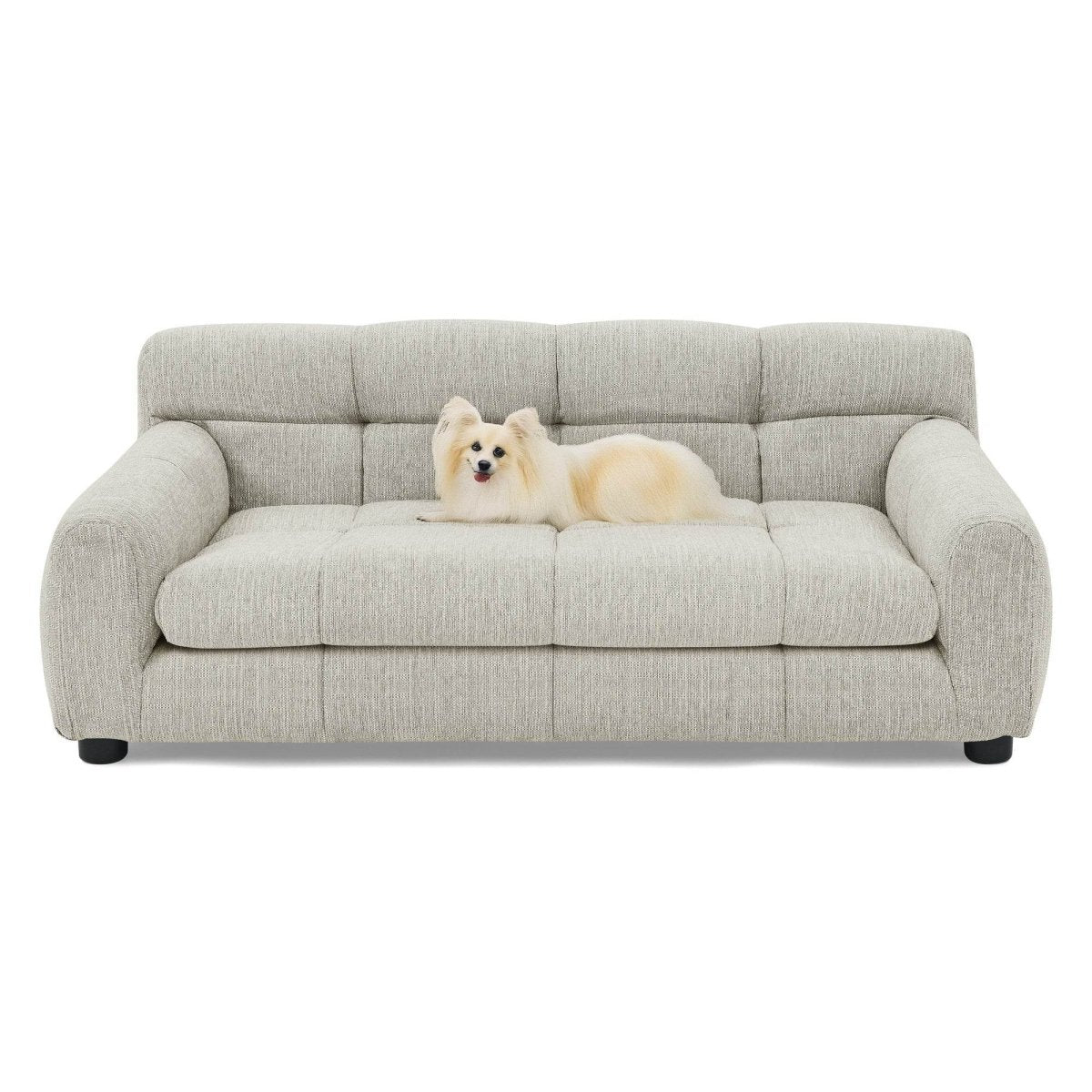 Modern Linen Fabric Pet Sofa With Armrests - Sleep Galleria