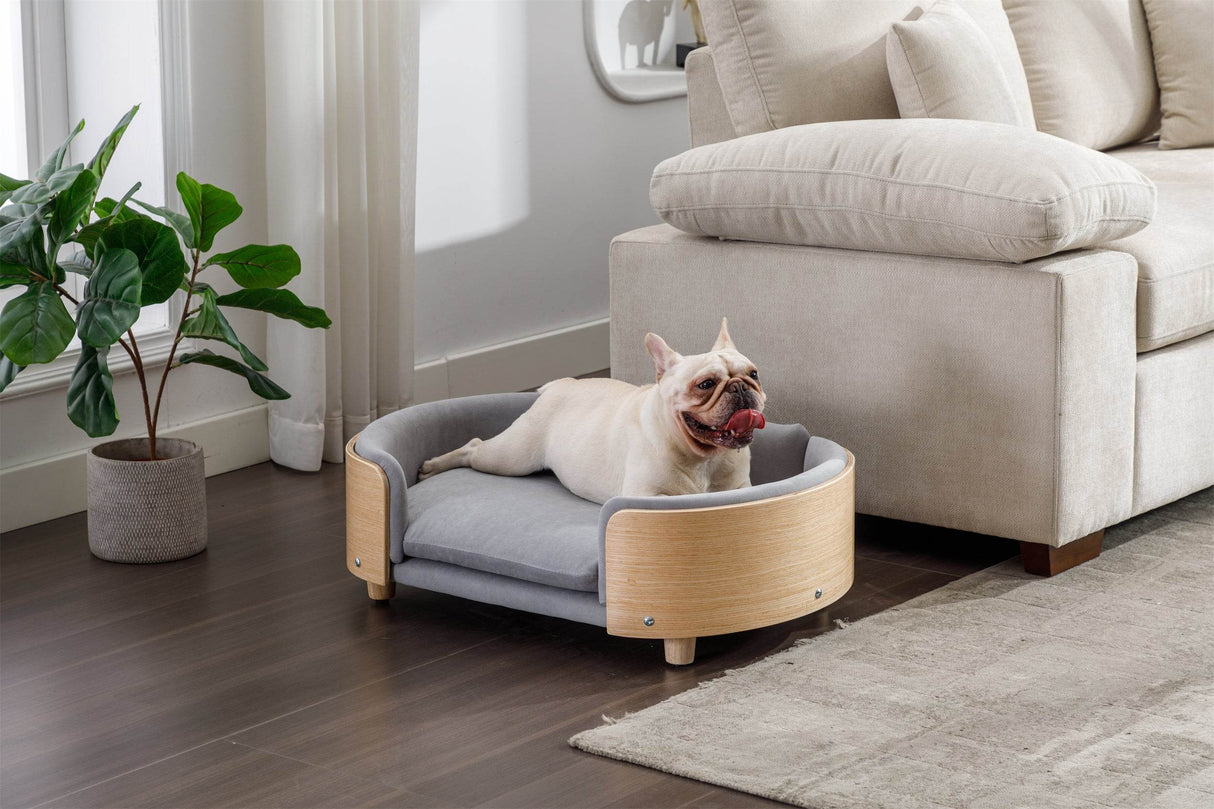 Scandinavian Elevated Large Dog Bed With Velvet Cushion - Sleep Galleria