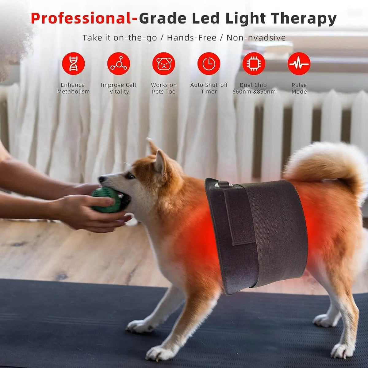 Red Infrared Light Therapy Pad with Dual Wavelengths - Sleep Galleria