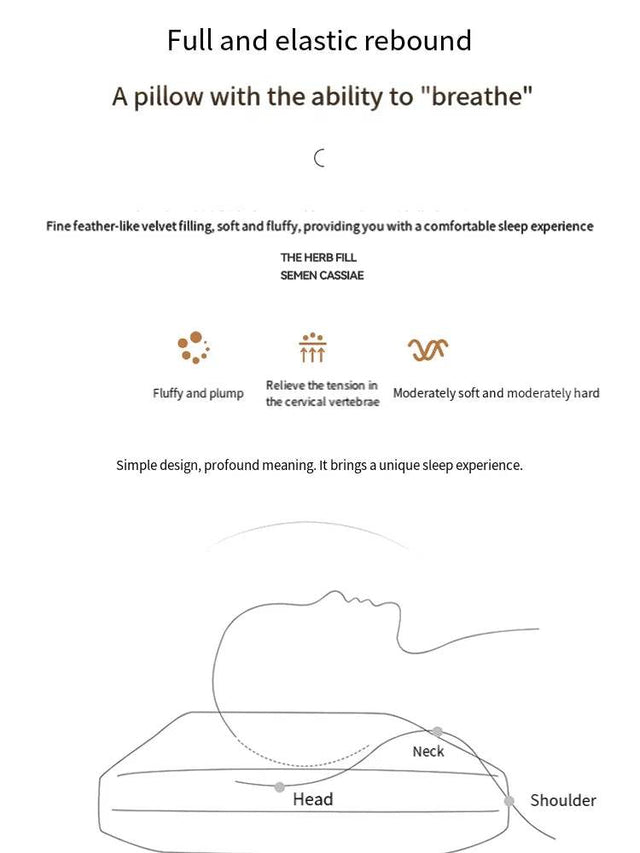 Antibacterial Cervical Spine Support Pillow - Omega Lifestyles