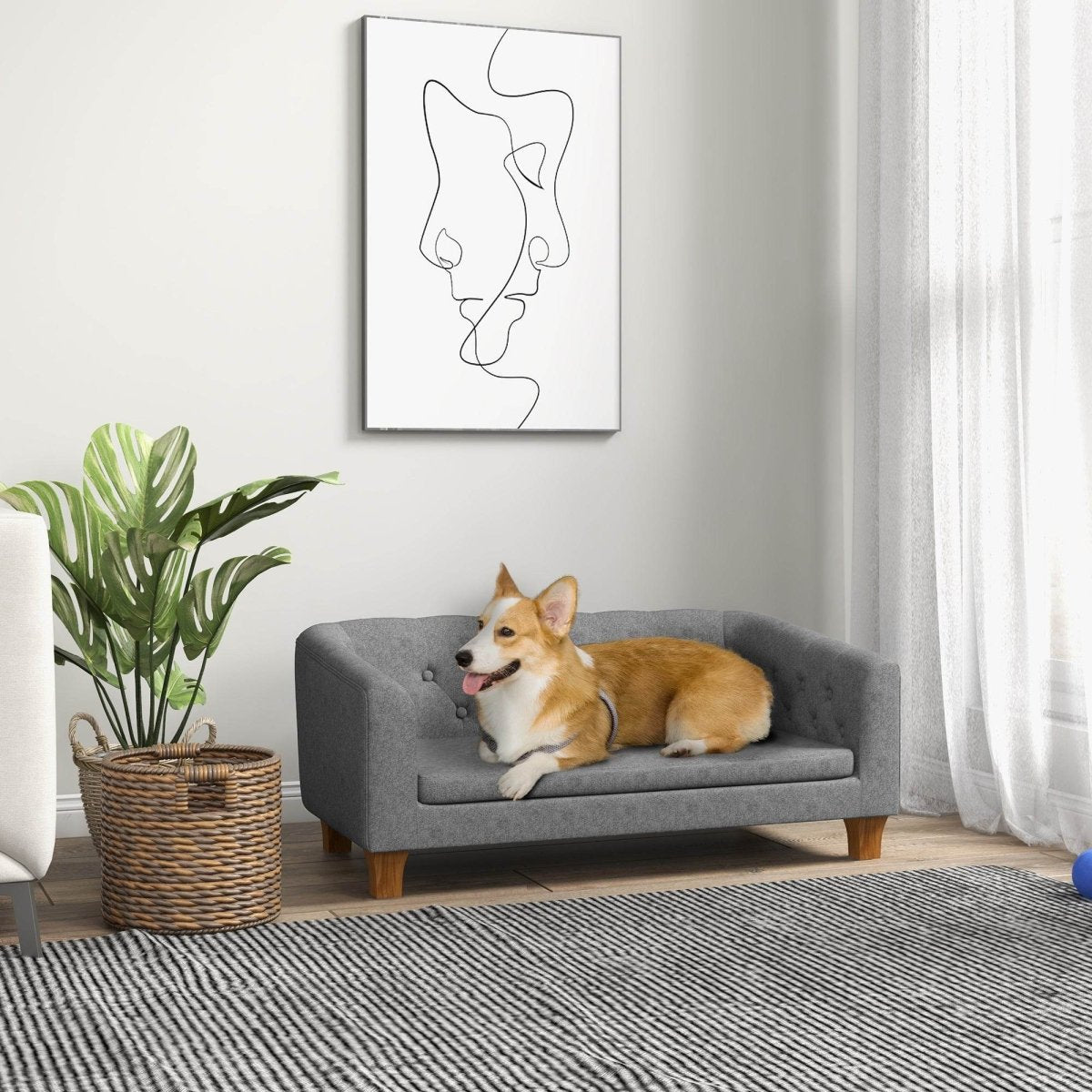 Elevated Pet Sofa Bed With Removable Cushion - Sleep Galleria