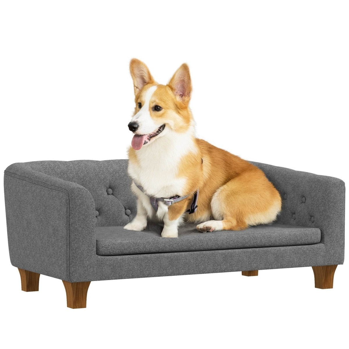 Elevated Pet Sofa Bed With Removable Cushion - Sleep Galleria