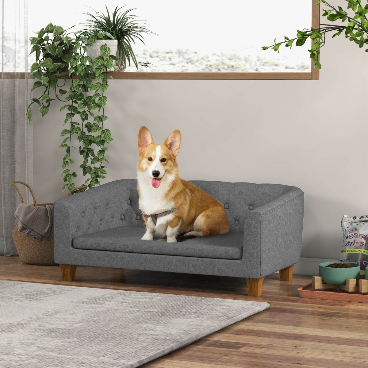 Elevated Pet Sofa Bed With Removable Cushion - Sleep Galleria