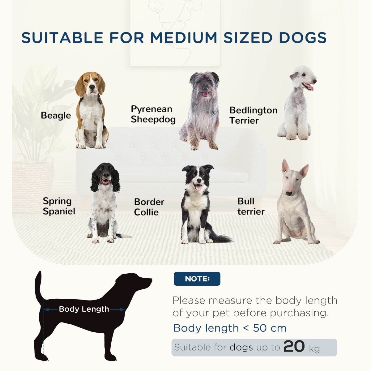 Elevated Pet Sofa Bed With Removable Cushion - Sleep Galleria