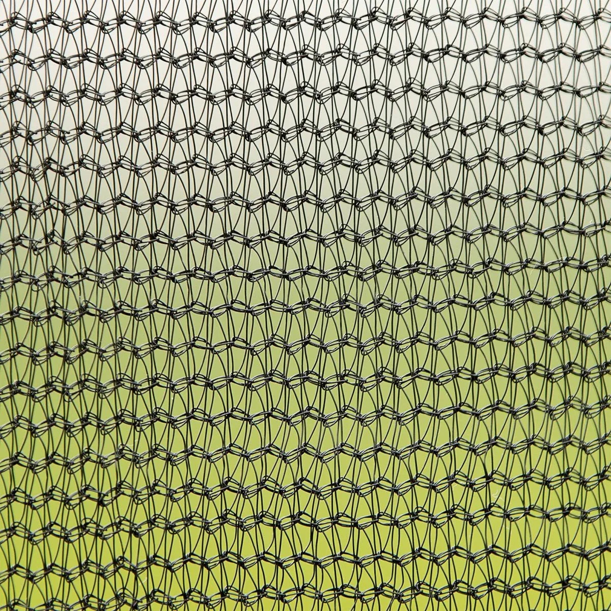 14FT Steel Outdoor Trampoline With Basketball Hoop Ladder - Omega Lifestyles