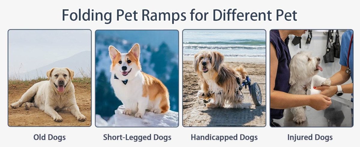 Folding Portable Aluminum Alloy Dog Ramp With Non-Slip Surface - Sleep Galleria