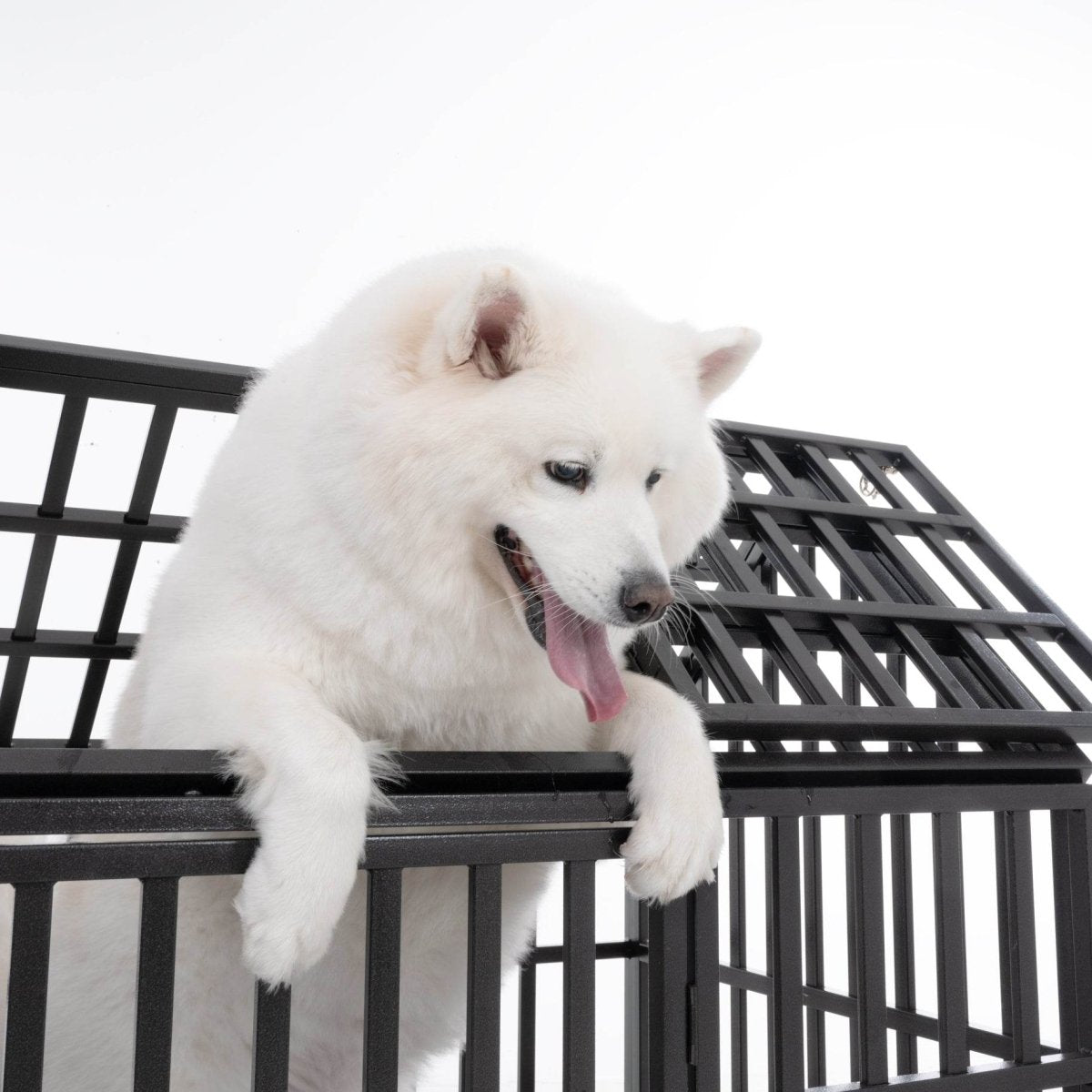 Heavy Duty 52-Inch Carbon Steel Dog Crate With Wheels - Omega Lifestyles