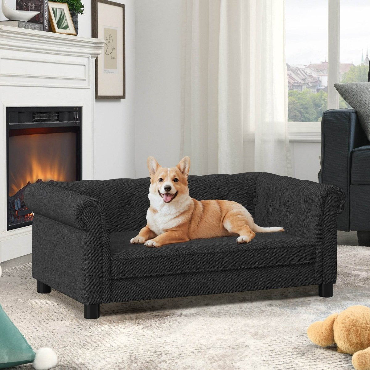 Modern Elevated Foam Pet Sofa Bed For Dogs - Omega Lifestyles