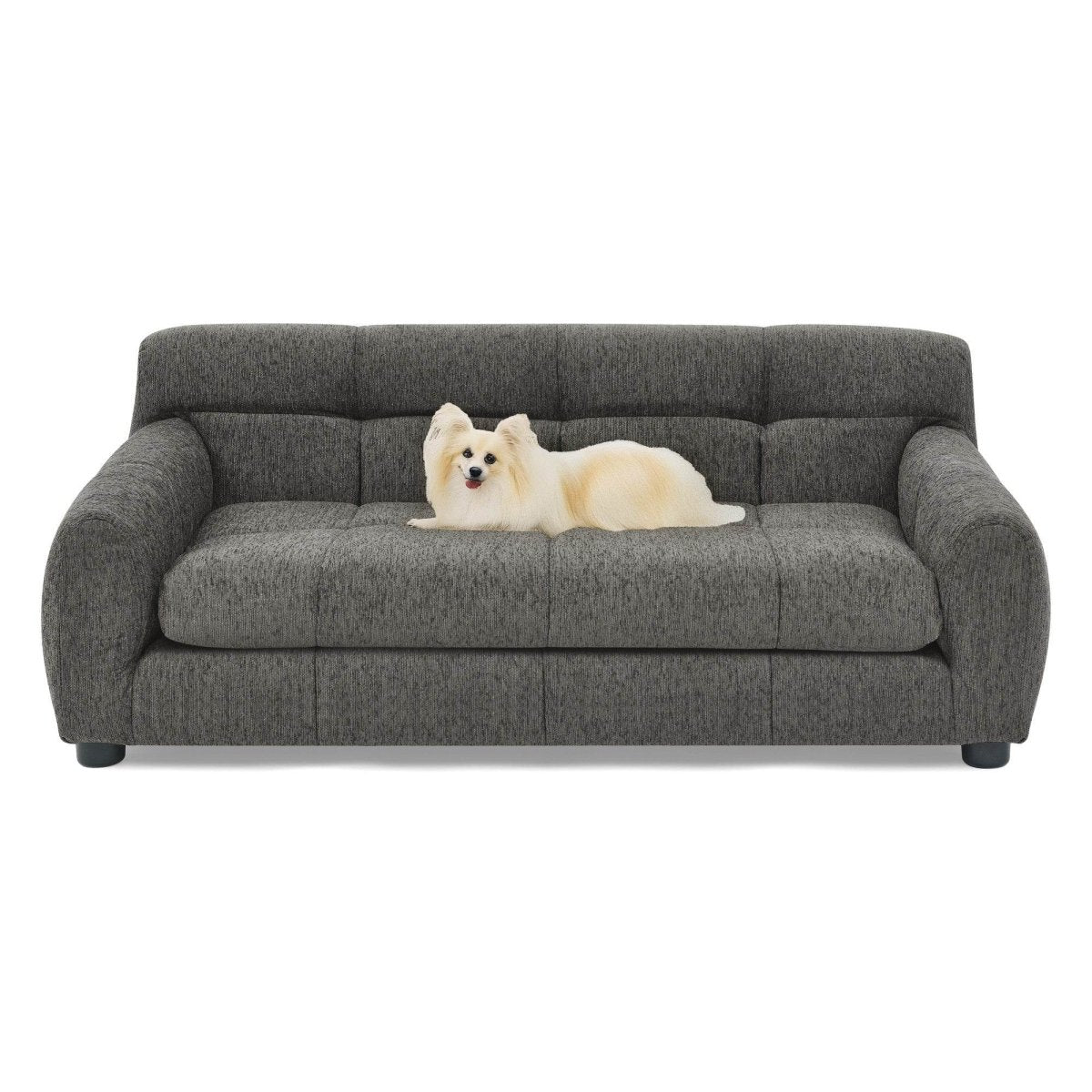 Modern Linen Fabric Dark Gray Pet Sofa - Sleep Galleria
