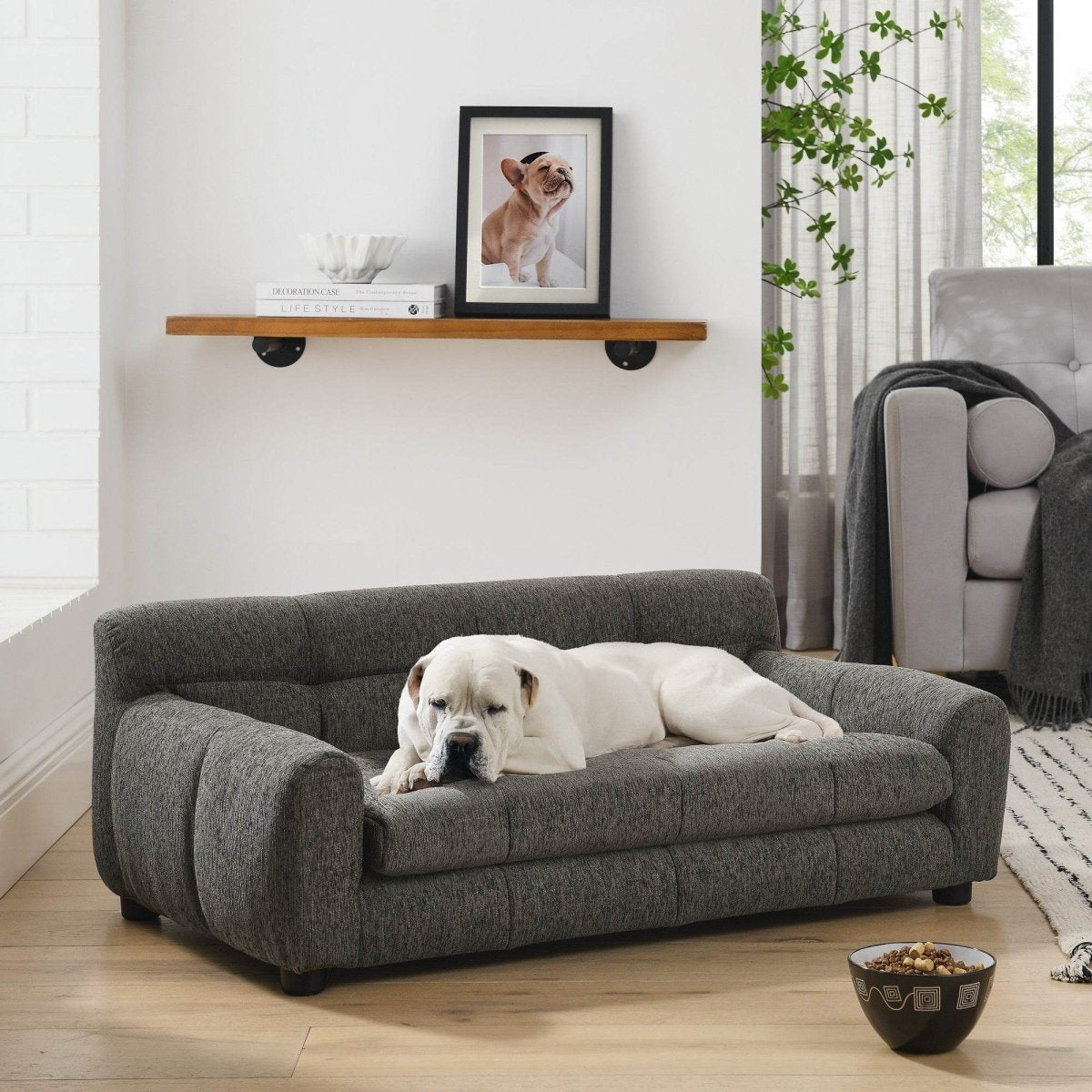 Modern Linen Fabric Dark Gray Pet Sofa - Sleep Galleria